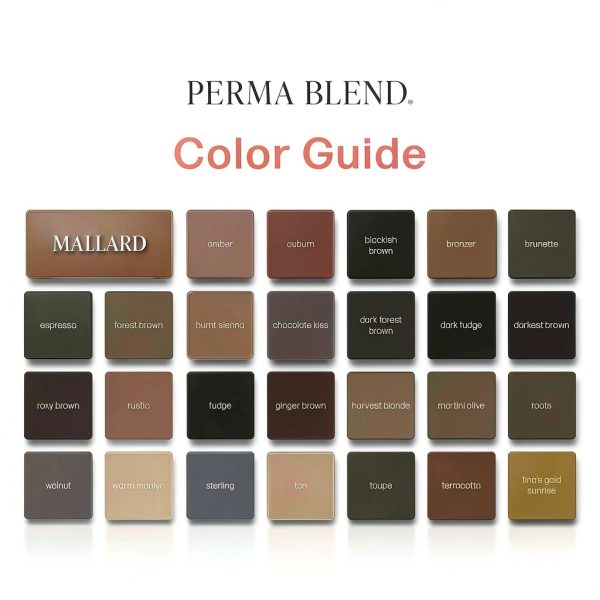 Perma Blend Microblading Pigment Brown Eyebrows Tattoo Ink-6